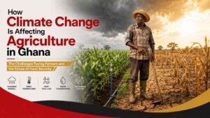 How Climate Change Is Affecting Agriculture in Ghana
