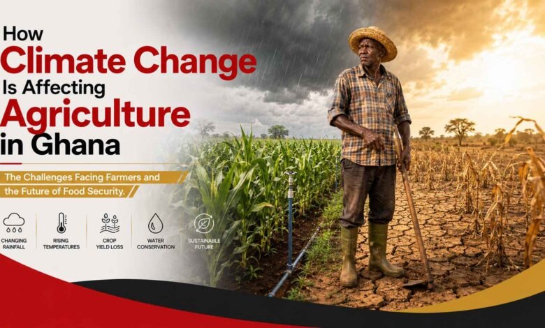 How Climate Change Is Affecting Agriculture in Ghana