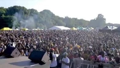 Several Injured in Crowd Crush at UK Festival Headlined by Shatta Wale