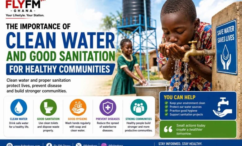 The Importance of Clean Water and Good Sanitation for Healthy Communities