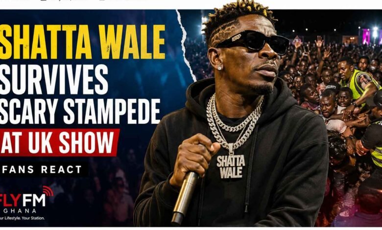 everal Injured in Crowd Crush at UK Festival Headlined by Shatta Wale