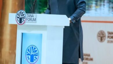President John Dramani Mahama speaking at the Tana Forum 2026 in Ethiopia, in a photograph published by Ghana Broadcasting Corporation.